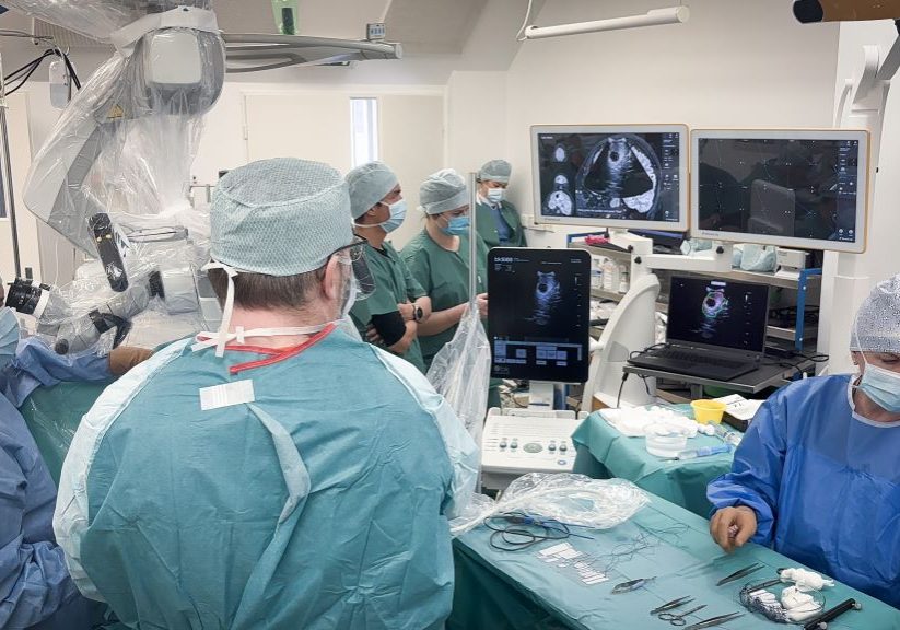 20260217_operacia_mozgu_1_na_web